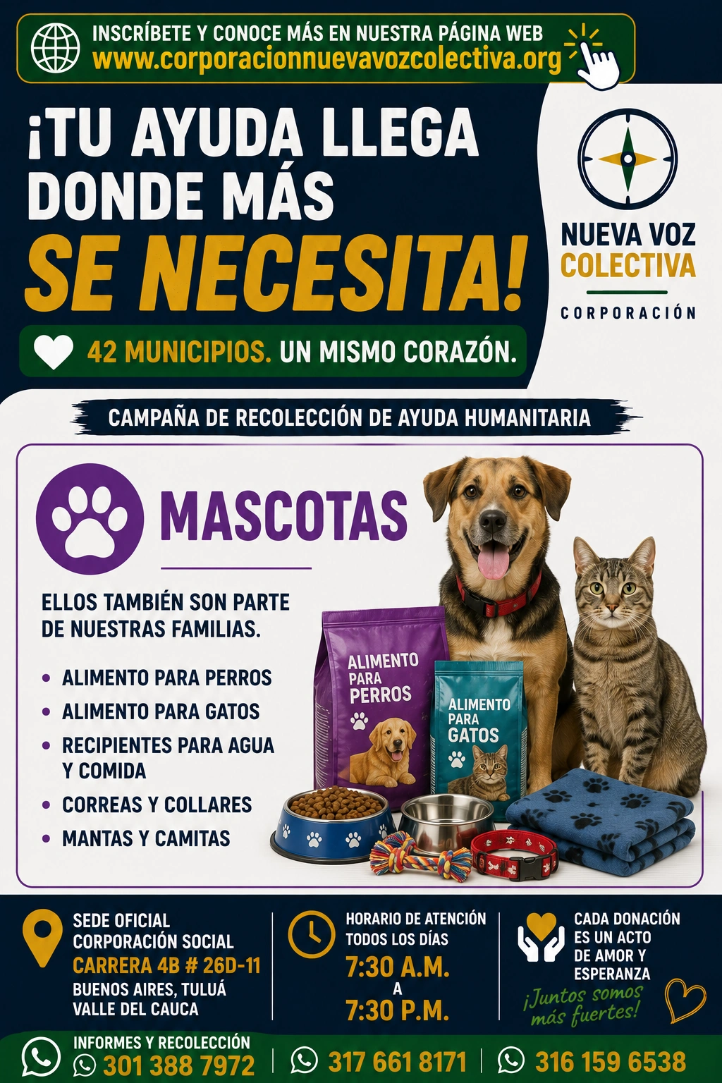 Guía oficial para mascotas